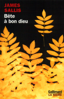 bête à bon dieu