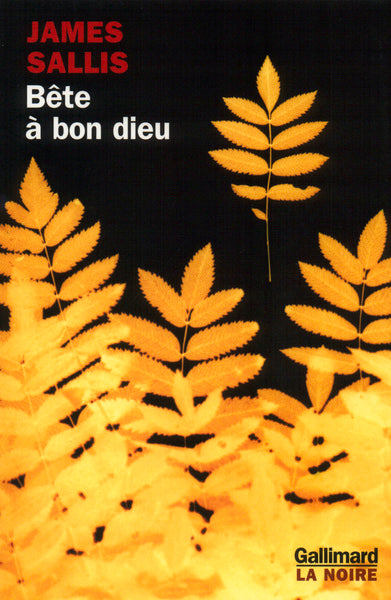 bête à bon dieu