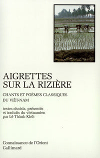aigrettes sur la rizière