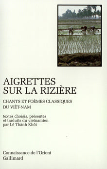 Aigrettes sur la rizière