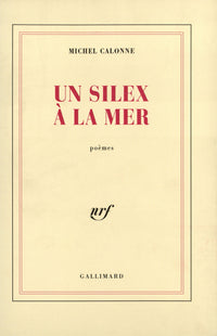 Un silex à la mer