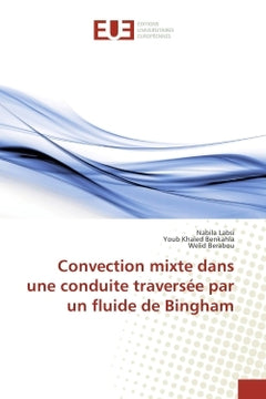 Convection mixte dans une conduite traversee par un fluide de Bingham