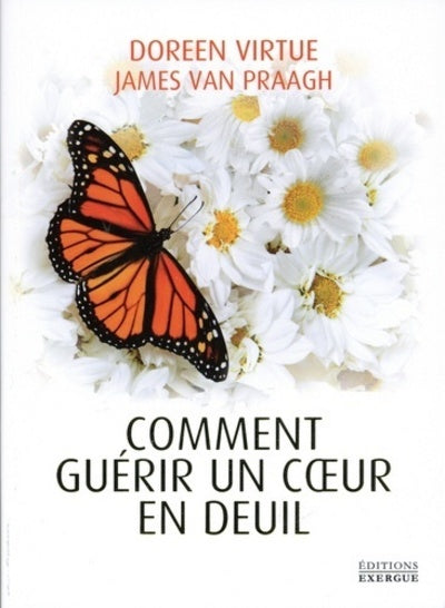 Comment guérir un cœur en deuil