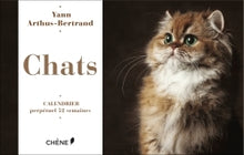 Calendrier 52 semaines Chats