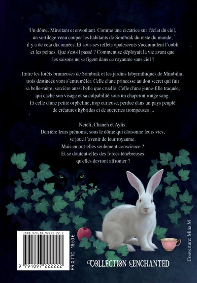 Le Royaume Sans Ciel