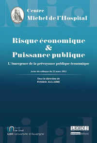 Risque économique et puissance publique