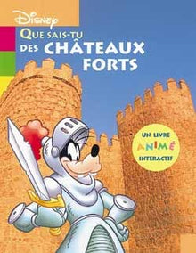 Que sais-tu des châteaux forts ?
