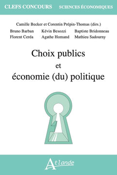 Choix publics et économie politique