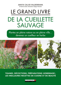 Le grand livre de la cueillette sauvage