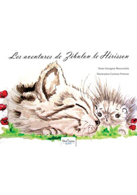 Petit chat et Zébulon