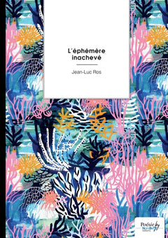 L'éphémère inachevé