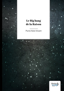 Le Big Bang de la Raison