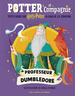 Harry Potter - Potter et Compagnie - Professeur Dumbledore