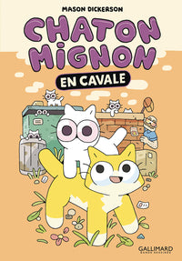 Chaton mignon