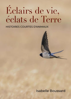 Éclairs de vie, éclats de Terre