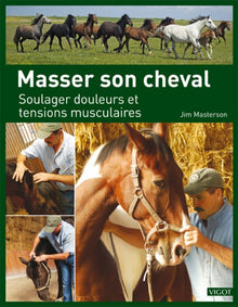 Masser son cheval: Soulager douleurs et tensions musculaires