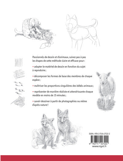 L'art de dessiner des bébés animaux