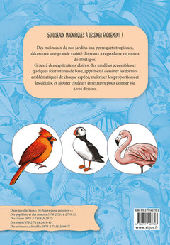 10 étapes pour dessiner des oiseaux