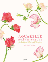 Aquarelle d'après nature