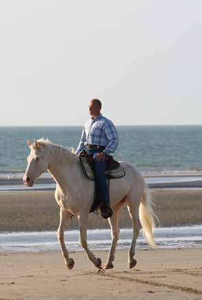 Éthologie équine - 90 conseils