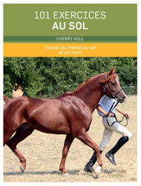 101 exercices au sol