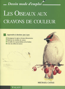 Les oiseaux aux crayons de couleur