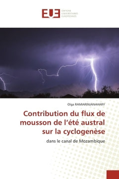 Contribution du flux de mousson de l'été austral sur la cyclogenèse