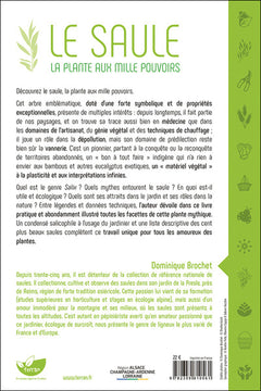 Le Saule - La plante aux mille pouvoirs