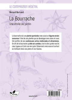 La Bourrache - Une étoile au jardin