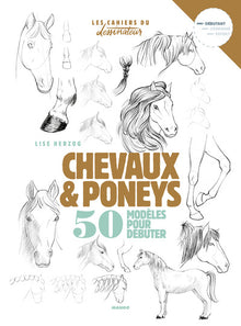 Dessiner chevaux et poneys: 50 modèles pour débuter le dessin