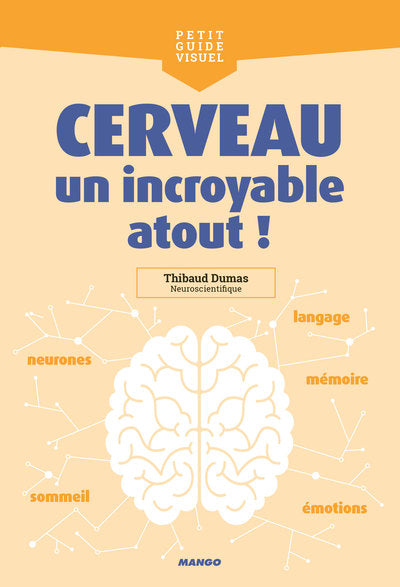 Cerveau, un incroyable atout !