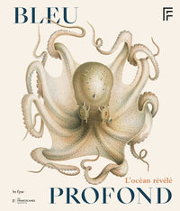 BLEU PROFOND