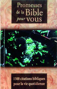 Promesses de la bible pour vous