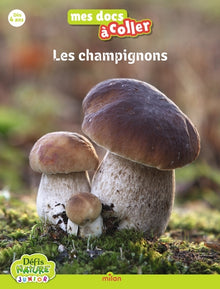 Les champignons
