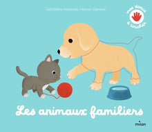 Les animaux familiers: intérieur carte