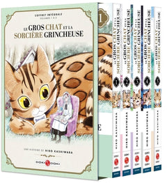 Le Gros Chat et la Sorcière grincheuse - coffret vol. 01 à vol.05