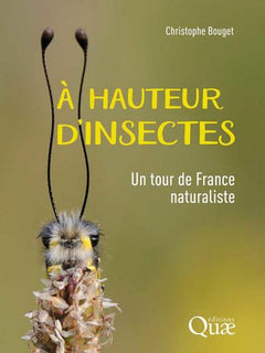 À hauteur d'insectes