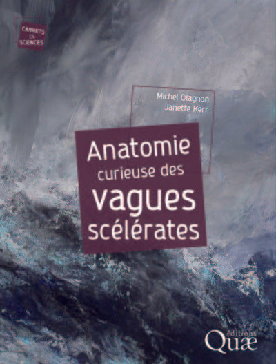 Anatomie curieuse des vagues scélérates