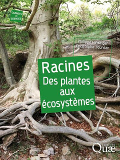 Racines