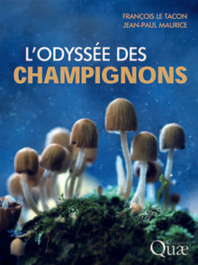 L'odyssée des champignons