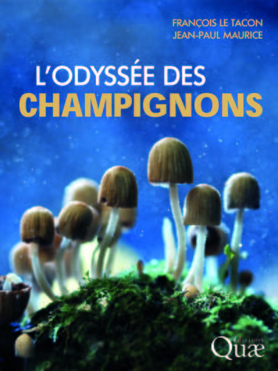 L'odyssée des champignons