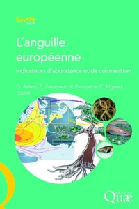 L'anguille européenne