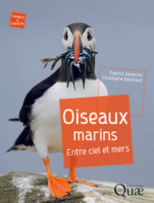 Oiseaux marins