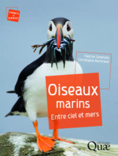 Oiseaux marins