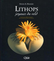 Lithops, joyaux du veld