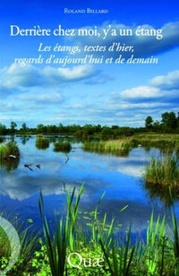 Derrière chez moi, y'a un étang