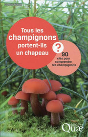 Tous les champignons portent-ils un chapeau ?