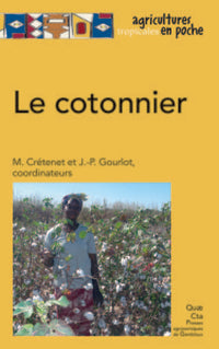 Le cotonnier