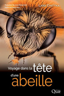 Voyage dans la tête d'une abeille