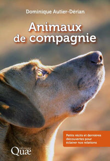 Les animaux de compagnie